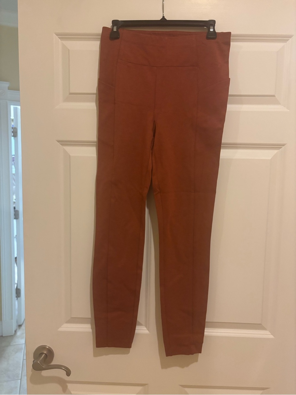 CAbi Ponte Leggings in Rust